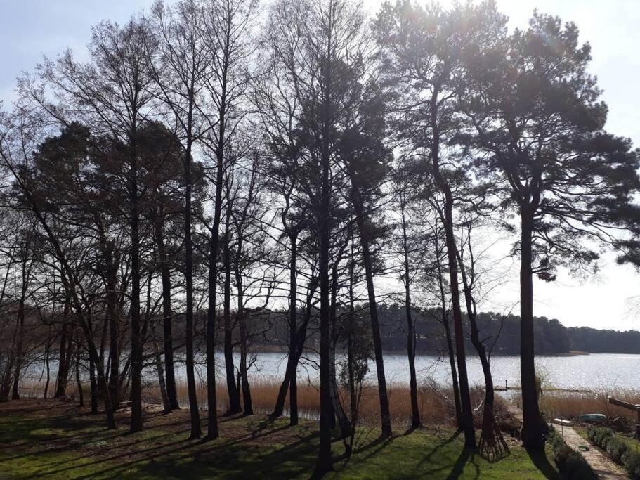 Penthouse Bernd Im Waldschloesschen Direkt Am See Wendisch Rietz Exteriér fotografie